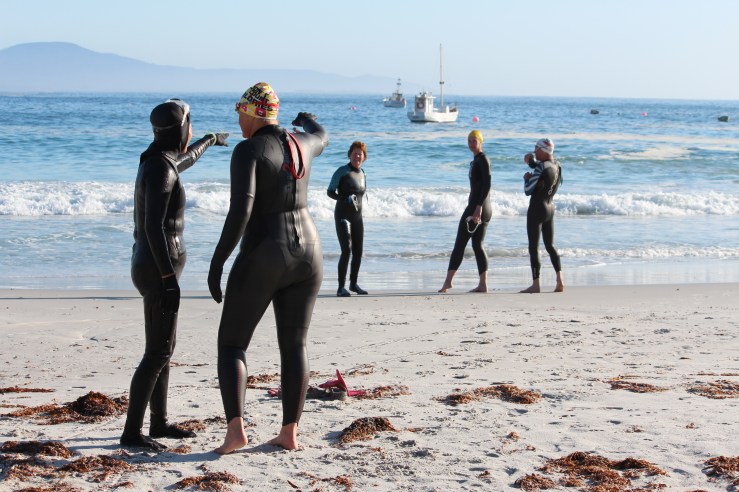 Coffee Club ocean swim group, Bicheno 